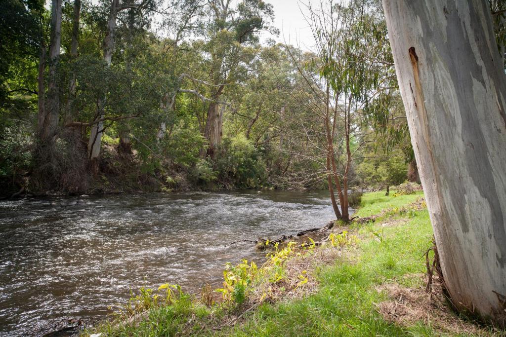 Oscar'S On The Yarra Hotell Warburton Rum bild